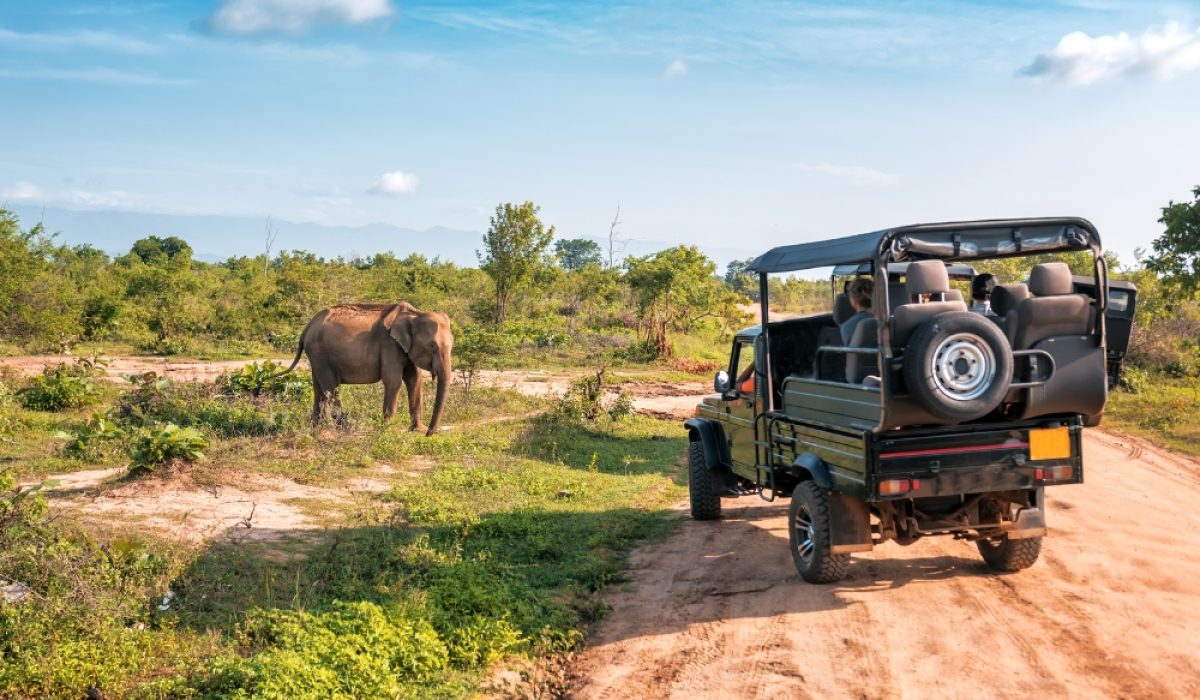 Jim Corbett
